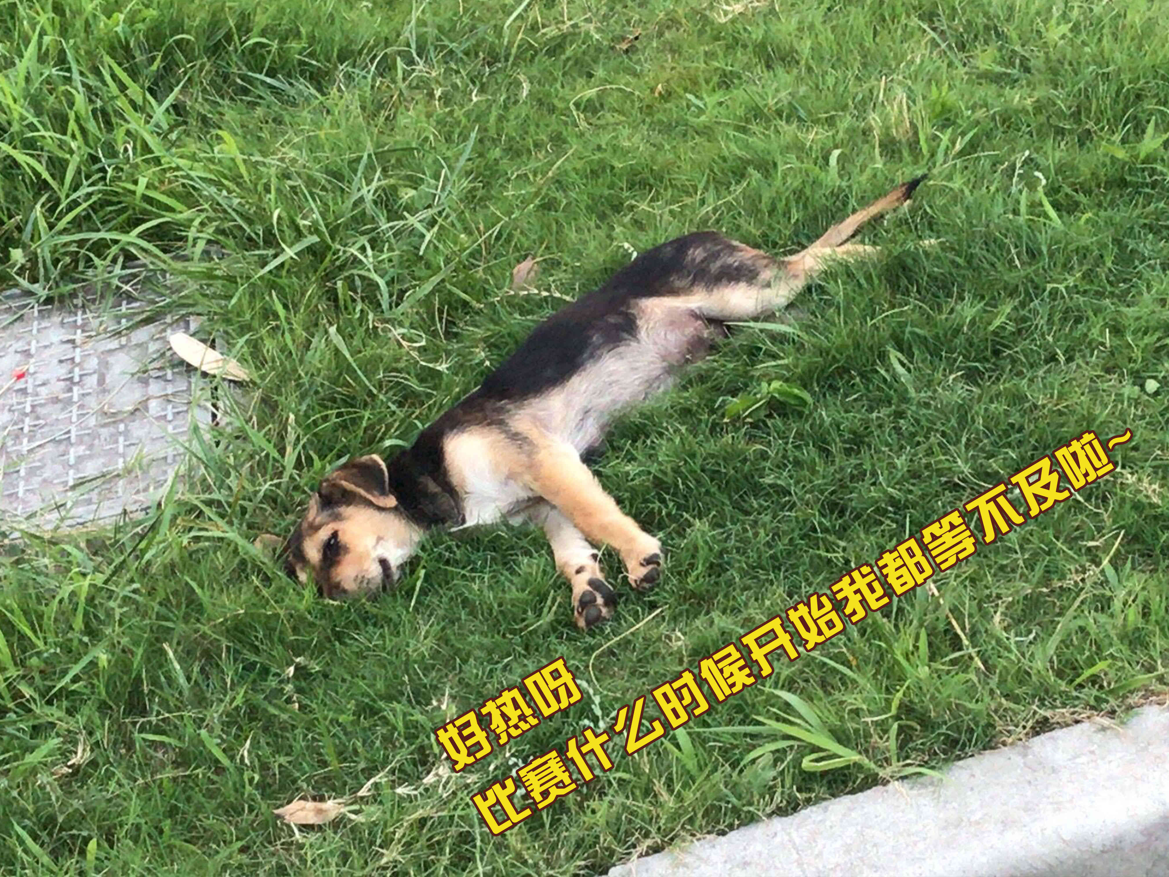 ����37�棿��һ������������Բ�ֹ�ڴˣ�(ͼ2)