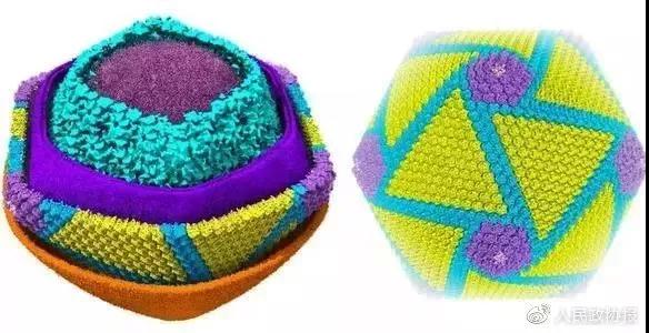 һ����3D
